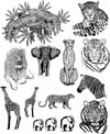 7 inch x 9 inch African Animals Unmounted Rubber Stamp Sheet 7 inch x 9 inch African Animals Unmounted Rubber Stamp Sheet