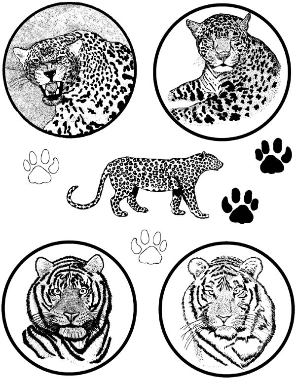 Big Cats Unmounted Rubber Stamp Sheet Big Cats Unmounted Rubber Stamp Sheet