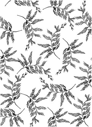 Cedar Boughs Background Unmounted Rubber Stamp Cedar Boughs Background Unmounted Rubber Stamp