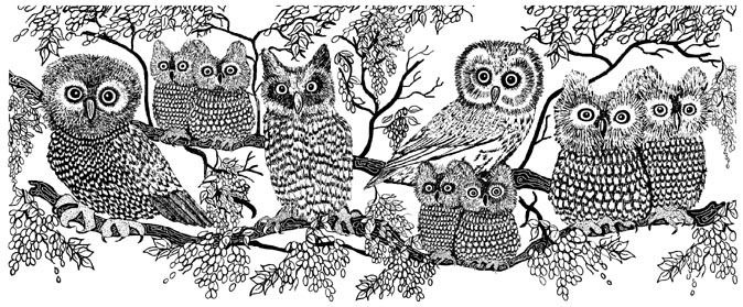 Owls Border Unmounted Rubber Stamp Owls Border Unmounted Rubber Stamp