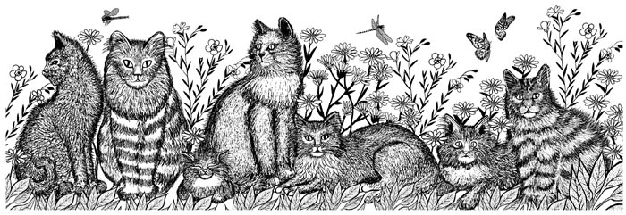 Cats Border Unmounted Rubber Stamp Cats Border Unmounted Rubber Stamp