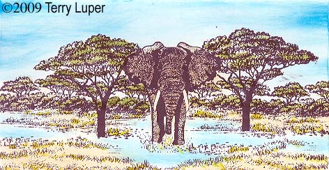 Elephant checkbook cover by Terry Luper - January 18, 2009