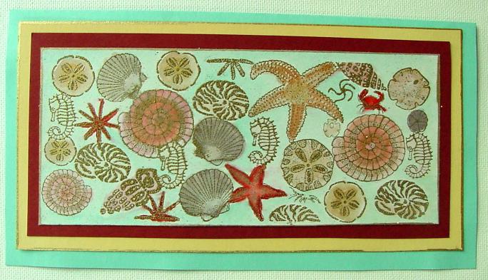 Seashell card by Melanie Caddell
