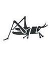 Grasshopper Little Stamper Grasshopper Little Stamper