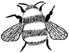 Bumblebee Little Stamper Bumblebee Little Stamper
