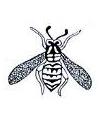 Yellowjacket Little Stamper Yellowjacket Little Stamper