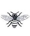 Honeybee Little Stamper Honeybee Little Stamper