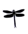 Dragonfly Little Stamper Dragonfly Little Stamper