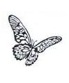 Butterfly Little Stamper Butterfly Little Stamper