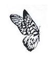 Butterfly Little Stamper Butterfly Little Stamper