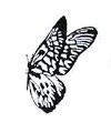 Butterfly Little Stamper Butterfly Little Stamper