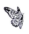 Butterfly Little Stamper Butterfly Little Stamper