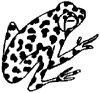 Frog Little Stamper Frog Little Stamper
