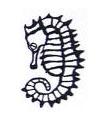 Seahorse Little Stamper Seahorse Little Stamper