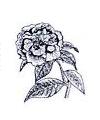 Camelia Flower Little Stamper Camelia Flower Little Stamper