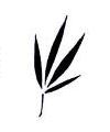 Bamboo Leaf Little Stamper Bamboo Leaf Little Stamper
