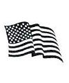 American Flag Little Stamper American Flag Little Stamper
