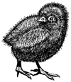 Baby Chick Little Stamper LS007-5-1 Baby Chick Little Stamper LS007-5-1
