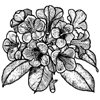 Rhododendron Little Stamper Rhododendron Little Stamper