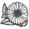 Sunflower Little Stamper Sunflower Little Stamper