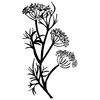 Dill Flowers Little Stamper Dill Flowers Little Stamper